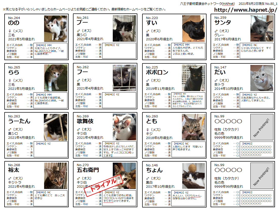 八王子動物愛護会ネットワーク Hapnet 譲渡猫情報一覧 八王子動物愛護会ネットワーク Hapnet 八王子動物愛護会ネットワーク Hapnet 譲渡猫情報一覧 八王子動物愛護会ネットワーク Hapnet