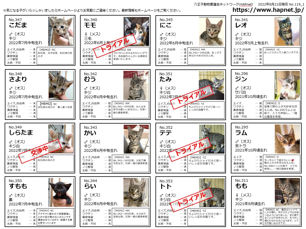 Gkcvnqk3c4odam Gkcvnqk3c4odam