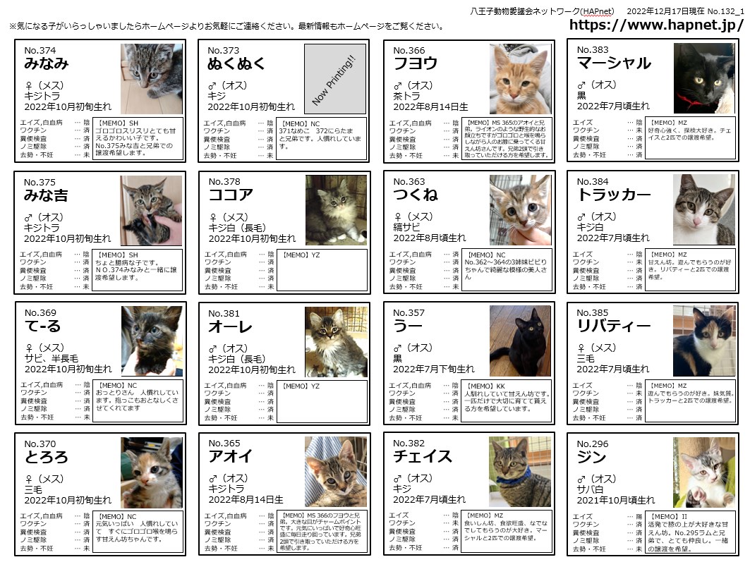 八王子市の保健所で犬と猫の譲渡会を開催しているボランティア団体 八王子動物愛護会ネットワーク Hapnet 八王子市の保健所で犬と猫の譲渡会を開催しているボランティア団体 八王子動物愛護会ネットワーク Hapnet