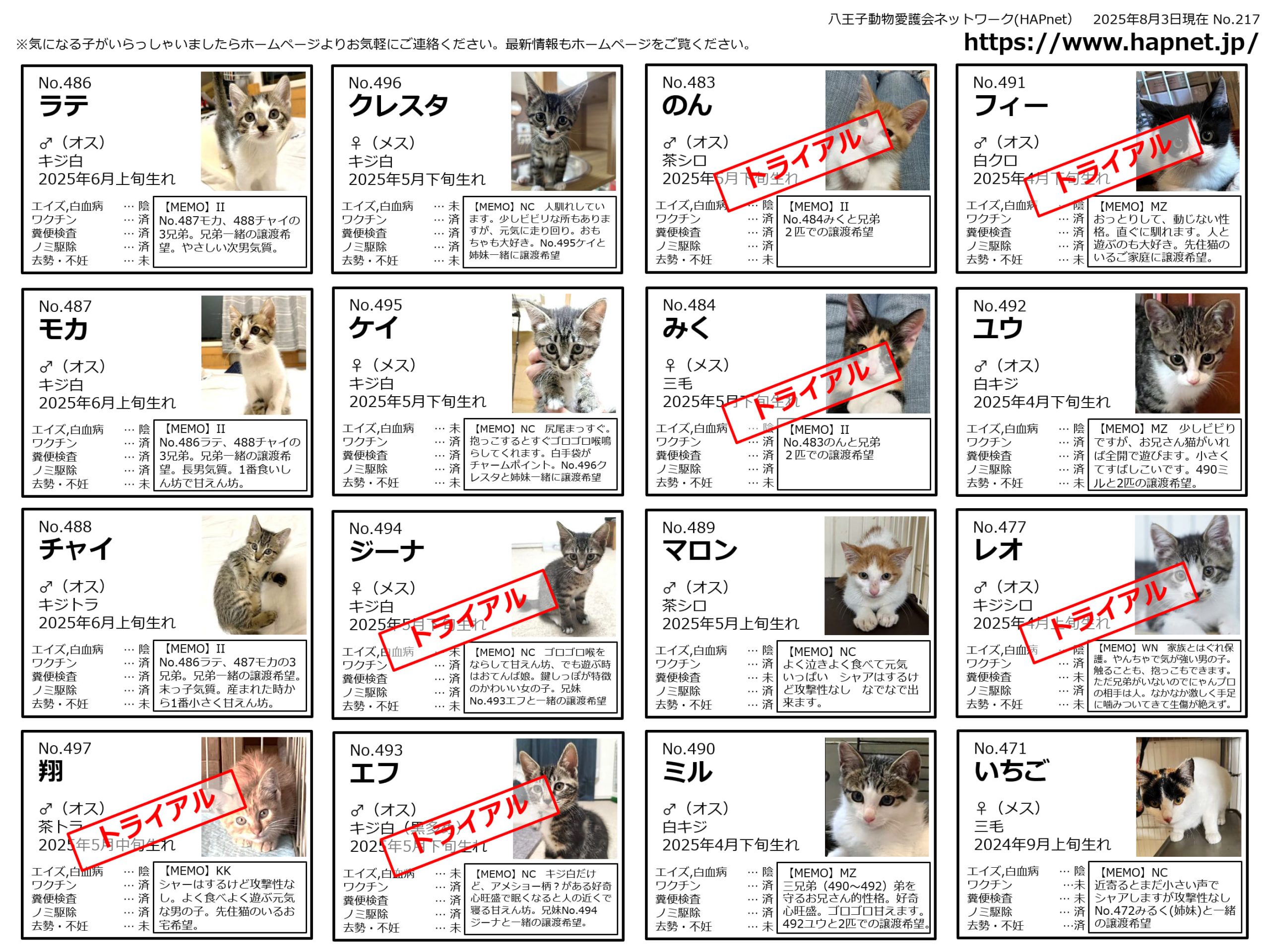 最高級　シュタイフ　アジア限定1500体‼️ 招き猫　開運　シリアルナンバー付き② Amazon.co.jp: 最高級 シュタイフ アジア限定1500体 招き猫 開運